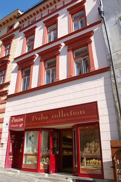 Pension Zamecka Apartma - Castle Apartments Cesky Krumlov Luaran gambar